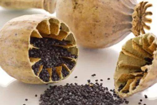 云南通海再次发生5.0级地震 应急管理部工作组赶赴现场【xingkong体育官网登录】(图3) 星空体育官网