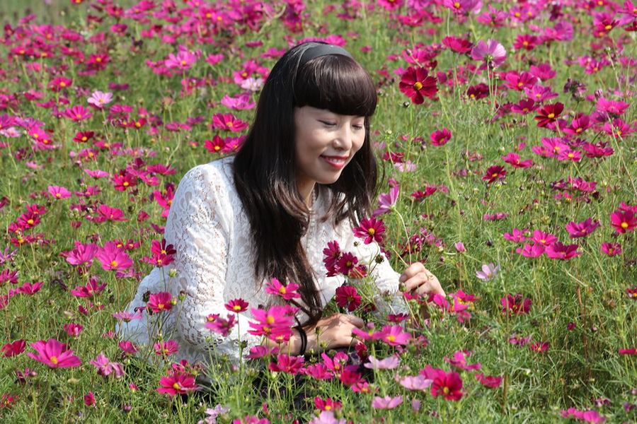 泉州中心市区将新建50所小学27所初中|星空体育官网(图1) 泉州中心市区将新建50所小学27所初中|星空体育官网(图1)