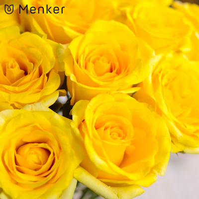 xingkong体育官网登录