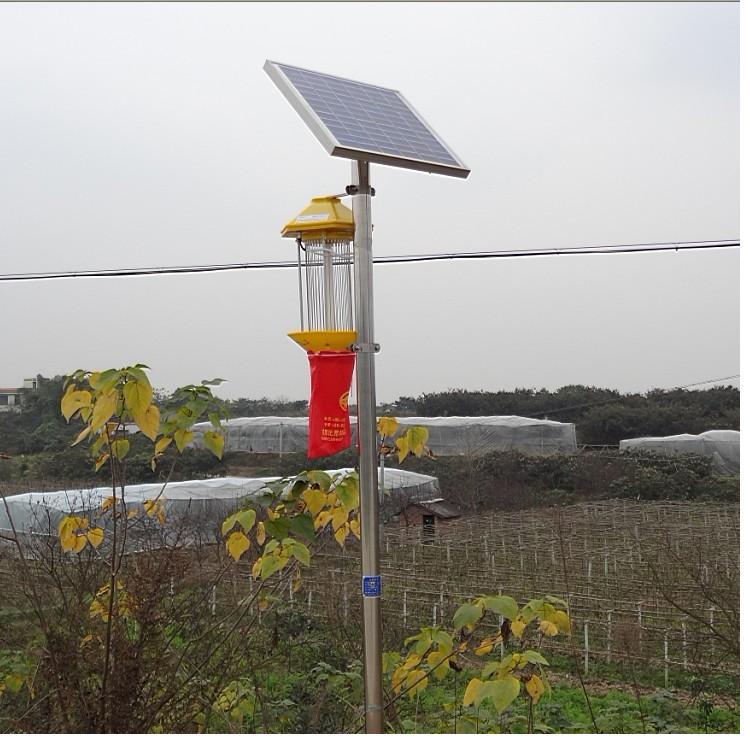 范县举办2019年中考备考策略专家报告会|xingkong体育官网登录(图1) 星空体育官网