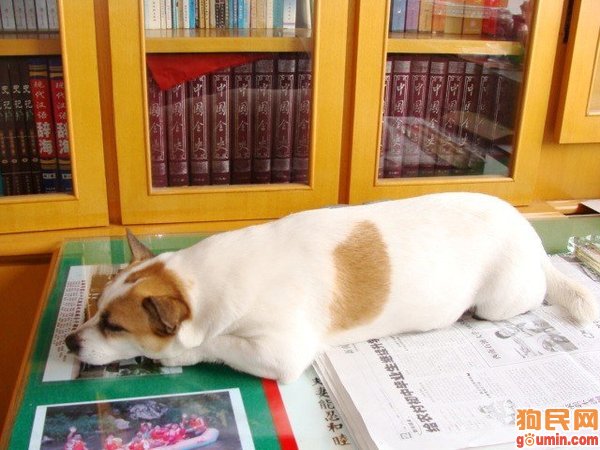 xingkong体育官网登录