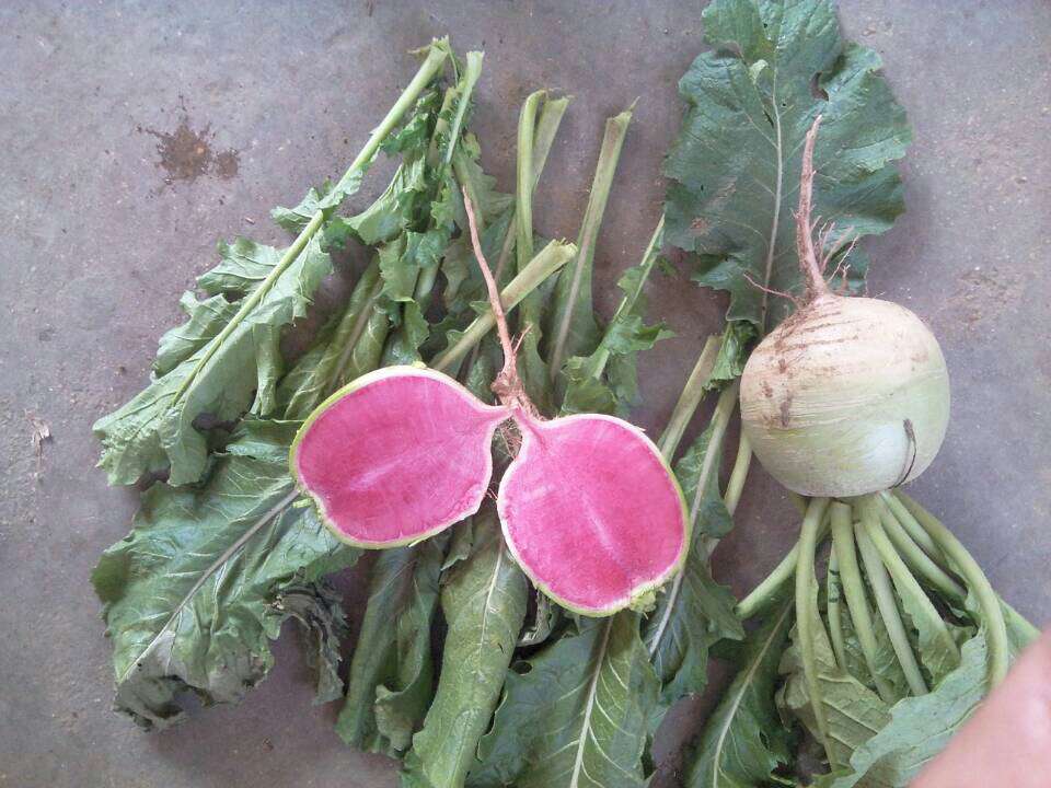 xingkong体育官网登录