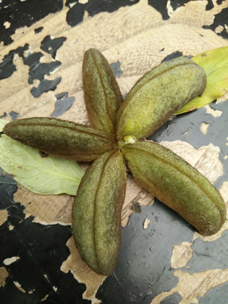 xingkong体育官网登录