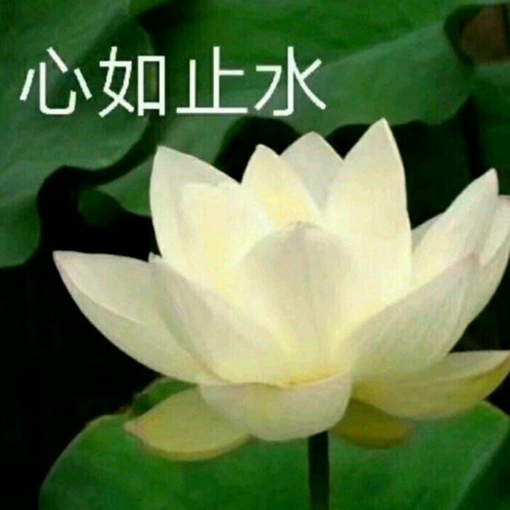 海南上百名幼师自制绘本视频线上讲故事|星空体育官网(图2)