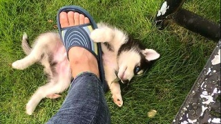 新密市召开职业教育工作推进会_星空体育官网(图2) 新密市召开职业教育工作推进会_星空体育官网(图2)