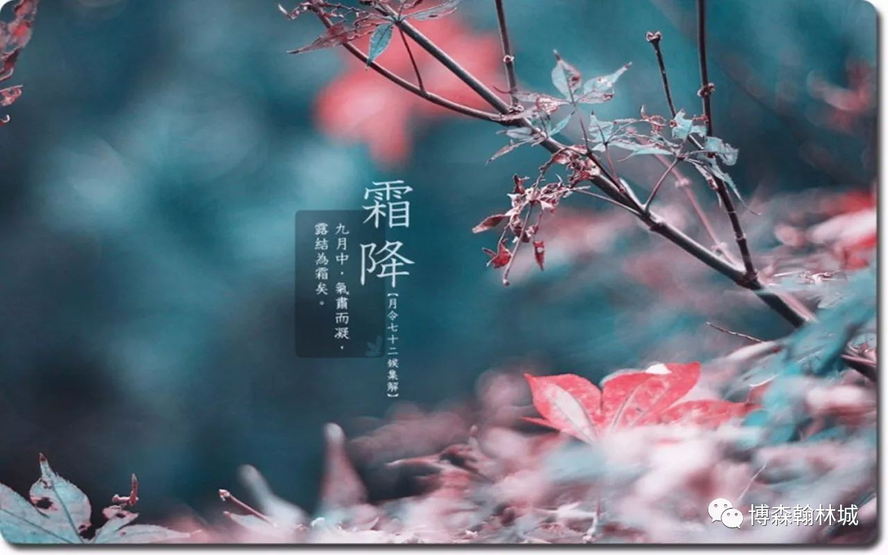 xingkong体育官网登录