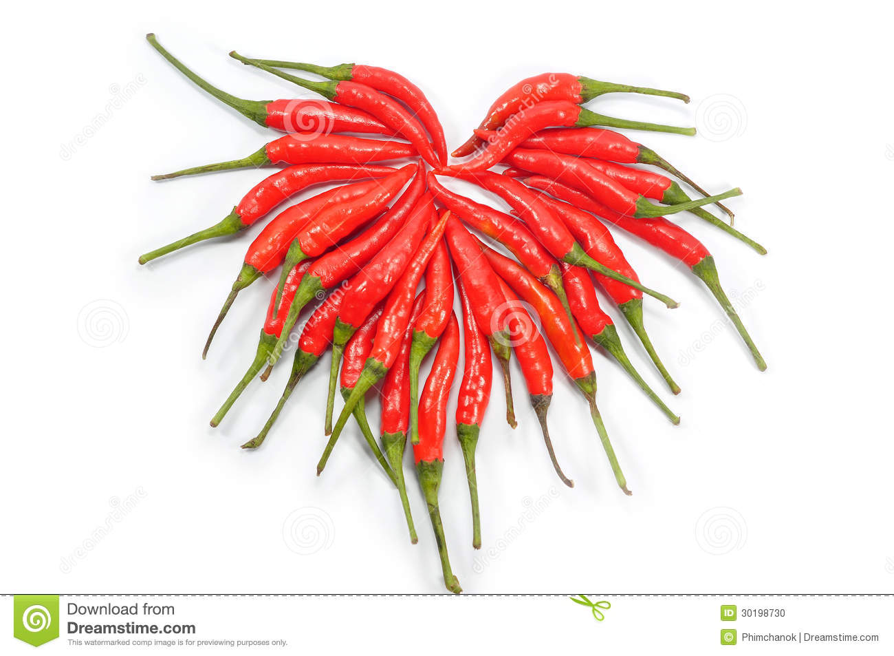 xingkong体育官网登录